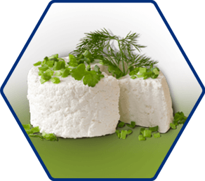 Food Industry